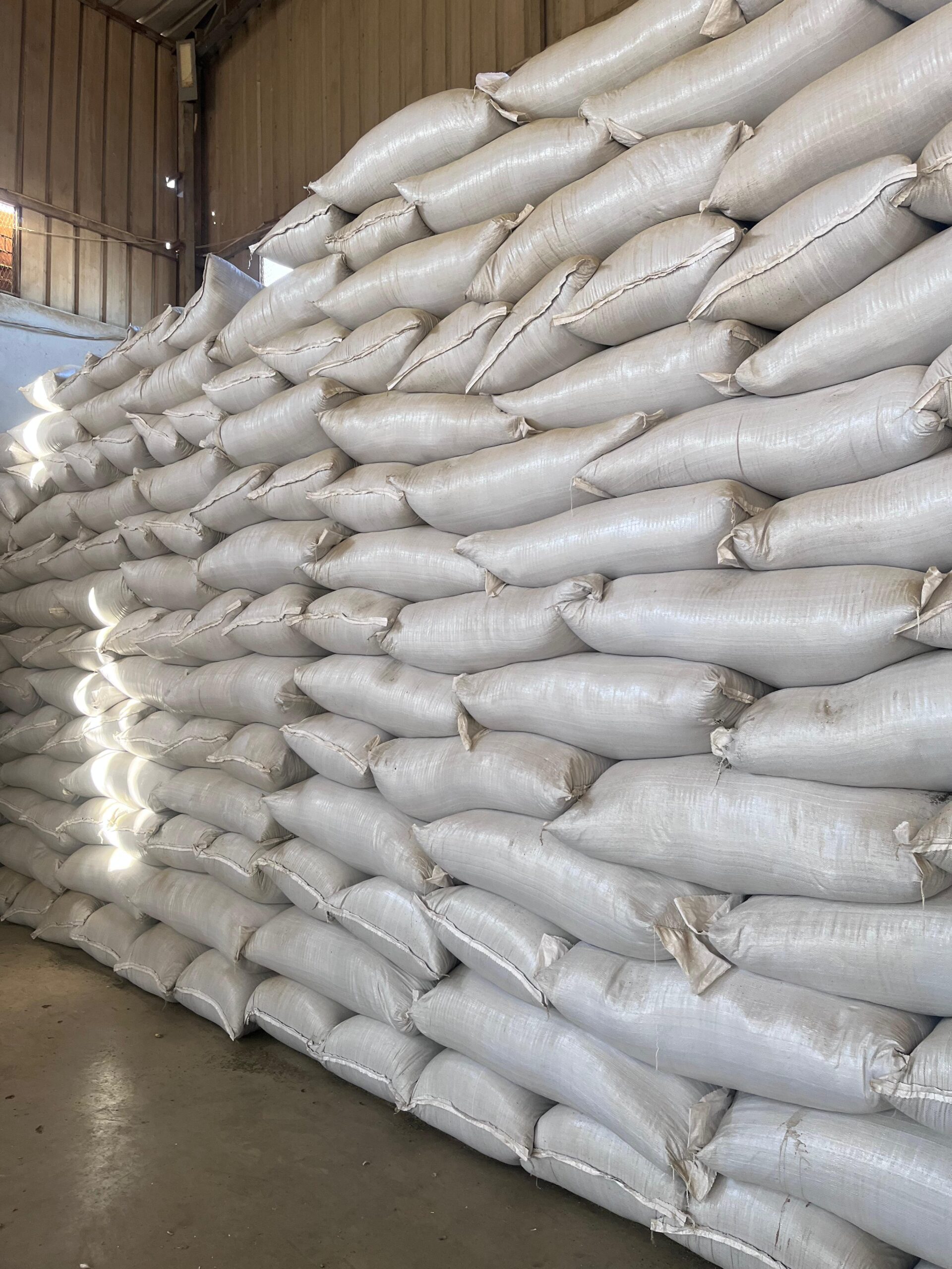 Warehouse Activity