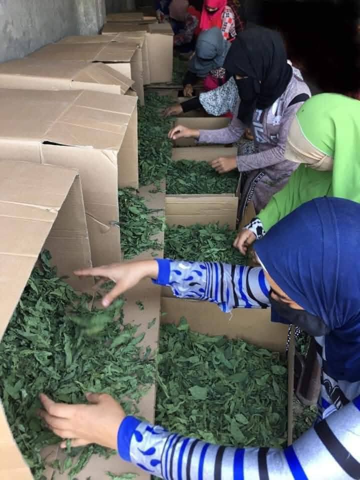 Global Shipping